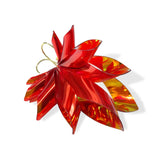 THE WINGS - warm red/rainbow